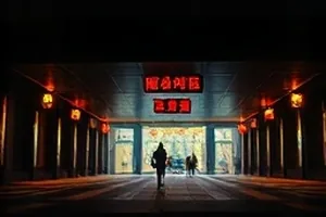《十六号档案》封面，成排档案盒与编号标签